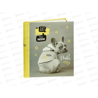 Фотоальбом FA 10M.005-4 10магн лист 23*28см спир frutty pets Грр Фотоальбом FA 10M.005-4 10магн лист 23*28см спир frutty pets Грр