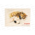 Альбом д/рис.20л ПЛН Спящие дружочки, гребень, 2914