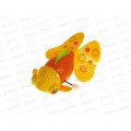 Игрушка заводная 6668-9В Рыбка в пакете FCJ0991929