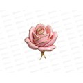 Шар К 18&quot GLAM РУС Роза объемная розовая, 1207-6581