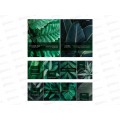 Набор 48л тетрадей ПП 10шт, &quotDARK TROPICS&quot, стандарт, 48-4411 *8