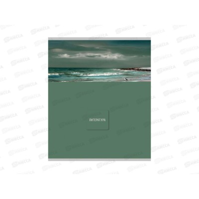 Тетрадь 48л линия Profit &quotNature&quot Литература, эконом, 48-9855 *80