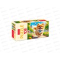 ПАЗ 108 эл. Hatber Рыжий песик, 210*300мм 32542 *12 ПАЗ 108 эл. Hatber Рыжий песик, 210*300мм 32542 *12