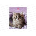 Дневник ХАТ МяУсы 1-4кл. 48л тв. переплет 35801  *28