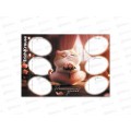 Расписание уроков А4 EK Prima Cat 65307 *20 Расписание уроков А4 EK Prima Cat 65307 *20