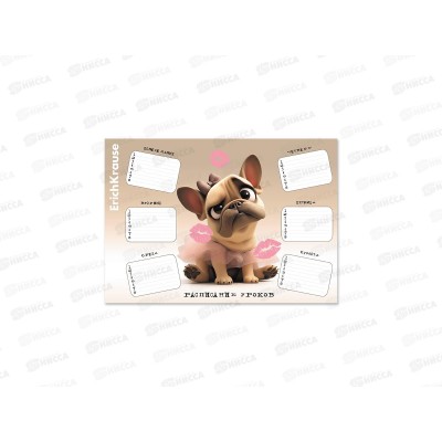 Расписание уроков А4 EK Frenchie 65308 *20