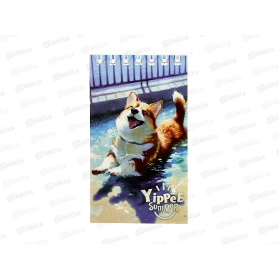 Блокнот 40л schoolФОРМАТ А7 Кайфующий корги, греб., БЛГ7-КФК *10