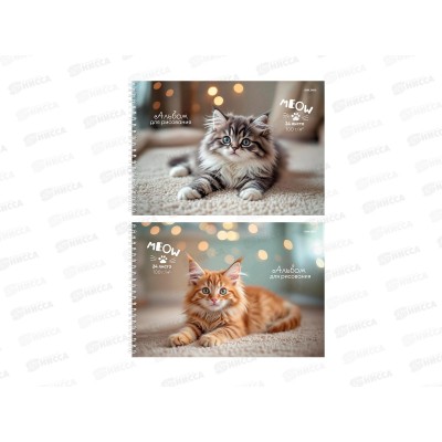Альбом для рисования 24л ПП Милые котята, 2диз., гребень, 24-8562 Альбом для рисования 24л ПП Милые котята, 2диз., гребень, 24-8562