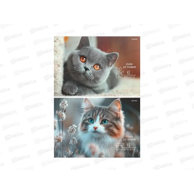 Альбом для рисования 48л ПП Взгляд котёнка, 2диз., А48-8353 Альбом для рисования 48л ПП Взгляд котёнка, 2диз., А48-8353