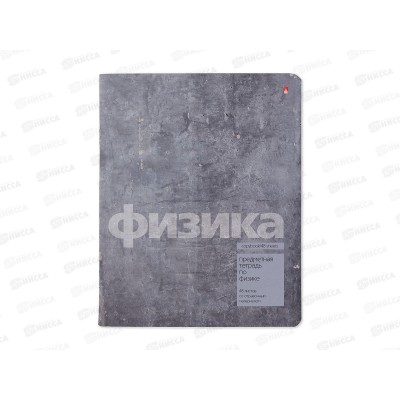 Тетрадь 48л кл. АЛЬТ STONE COLOR Физика 7-48-1358/01*20/60