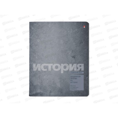 Тетрадь 48л кл. АЛЬТ STONE COLOR История 7-48-1358/04*20/60