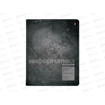 Тетрадь 48л кл. АЛЬТ STONE COLOR Информатика 7-48-1358/11*20/60