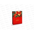 Сумочка пластик мягкий НГ 30*40 Красное рождество *40