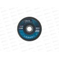 Диск лепестковый 125х22,2 мм (P60) Oasis *10 Диск лепестковый 125х22,2 мм (P60) Oasis *10