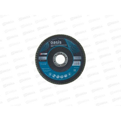 Диск лепестковый 125х22,2 мм (P60) Oasis *10