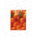Пакет пластиковый НГ 40*30*9 0427.591 набор 6шт