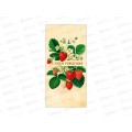 Конверт АД С днем рождения 0322.989