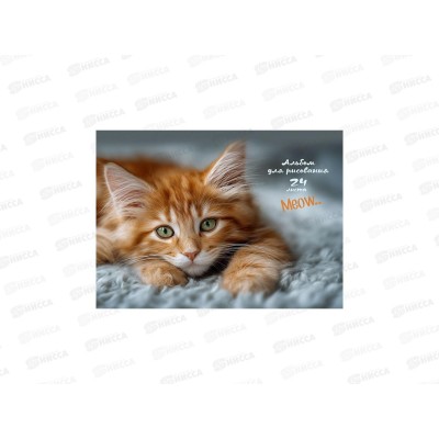 Альбом для рисования 24л ПП Котик-4, 24-2413