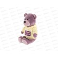 Мишка Ронни в толстовке, 21см, RM-R005-21 в коробке