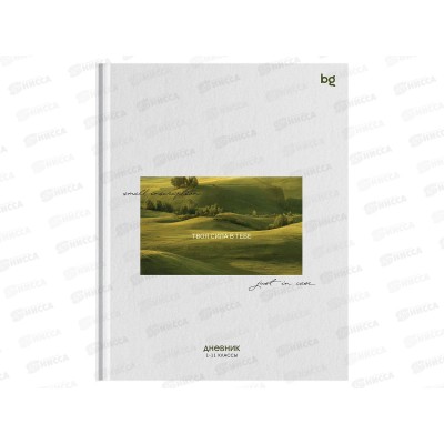 Дневник BG Надпись 1-11кл. тв.обл.матовая ламинация  62189 *30