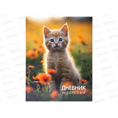 Дневник Юнландия Котёнок 1-4кл, тв.обложка с подсказом 107581 *28