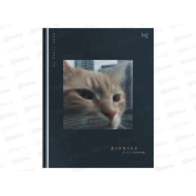 Дневник BG Грусть 1-11кл 48л. мат. ламин. лак 62201 *12
