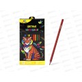 Карандаши 12цв ZOOMI Тигр ZM522*12 Карандаши 12цв ZOOMI Тигр ZM522*12