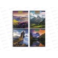 Тетрадь 96л кл. Alingar "Nature colours",греб, мел. 2диз.AL13354*4/40 Тетрадь 96л кл. Alingar "Nature colours",греб, мел. 2диз.AL13354*4/40