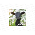 Календарь перекидной 2027 ХАТ Символ года.  30*30см. 36886 *20