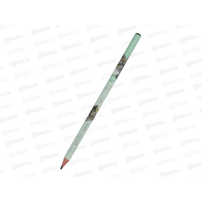 Карандаш ч/г EasyGraphix Кот Британец НВ,21-0068/04*50