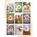 Набор открыток СИТИ ХОУМ 7*10см 30шт Spitz dog CRDMMP30
