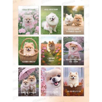 Набор открыток СИТИ ХОУМ 7*10см 30шт Spitz dog CRDMMP30