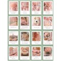 Набор открыток СИТИ ХОУМ 5*7см 50шт Peach paradise CRDSMP50