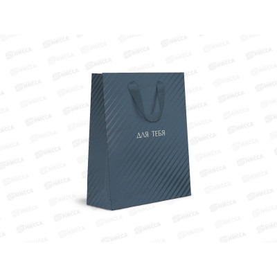Пакет СИТИ ХОУМ 18*22,7*10 (GH 12-325222 Office spirit) MT