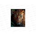 Тетрадь 48л клетка Funguru "Wild" D-608B-4101-13 Тетрадь 48л клетка Funguru "Wild" D-608B-4101-13