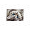 Альбом для рисования 12л Funguru "Lovely kitten", D-608B-4108-4 *12/120 Альбом для рисования 12л Funguru "Lovely kitten", D-608B-4108-4 *12/120