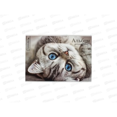Альбом для рисования 12л Funguru &quotLovely kitten&quot, D-608B-4108-4 *12/120