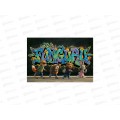 Альбом для рисования 24л Funguru "Graffiti", D-608B-4103-8 *12/120 Альбом для рисования 24л Funguru "Graffiti", D-608B-4103-8 *12/120
