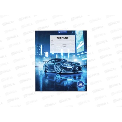 Тетрадь 12л клетка Funguru &quotBoy's world. Supercar&quot, D-608B-817  *25