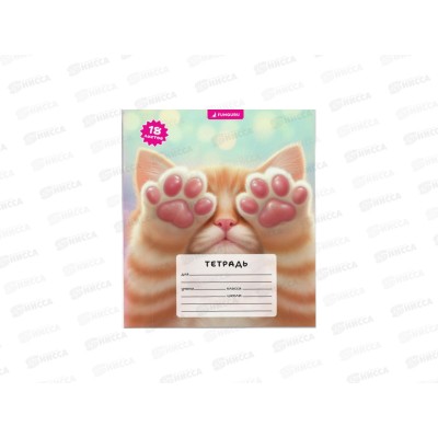 Тетрадь 18л клетка Funguru &quotМилые друзья. Лапки&quot, D-608B-820  *20