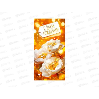Конверт для денег ГК С Днем Рождения!, 9.0000208 *10