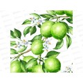 Клеенка Grace ткань с пвх 1,4х20м STS1088 127503