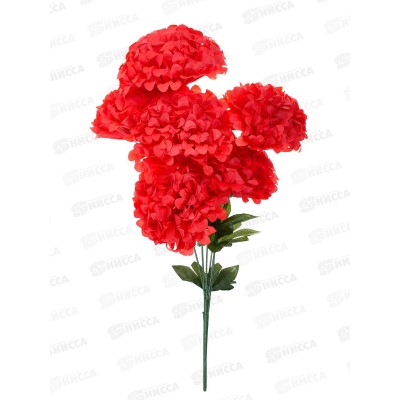 Букет 80см 6гол №957  82189 *20  Б