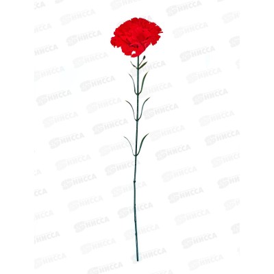 Цветы искусственные 60см №958  82190  *200  Б