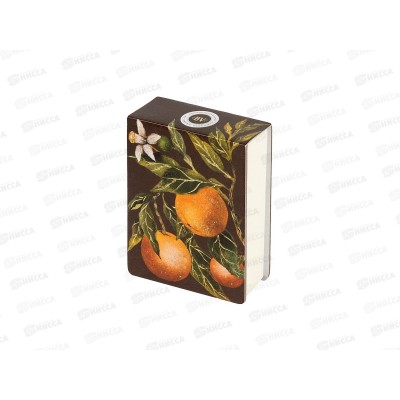 Блок д/записей АЛЬТ Райские апельсины, А7,250л,3-558/08*12