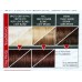 ELEA Prof.Color&Care крем-краска №6.37 темно-русый медный *20 ELEA Prof.Color&Care крем-краска №6.37 темно-русый медный *20