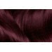 ГАРНЬЕ Колор Naturals 3,61 Сочная Ежевика *3/12 ГАРНЬЕ Колор Naturals 3,61 Сочная Ежевика *3/12