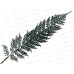 Ветка декоративная &quotЛист папоротника&quot, изумрудный, EYF19-2374, 87х12х,05см   АТМ*36