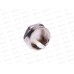 Заглушка на трубу 3/4" г, Aqualink, 02583 *10/300 Заглушка на трубу 3/4" г, Aqualink, 02583 *10/300