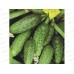 Огурец Кустовой раннеспелый F1 0,3г *10 Т.П. +